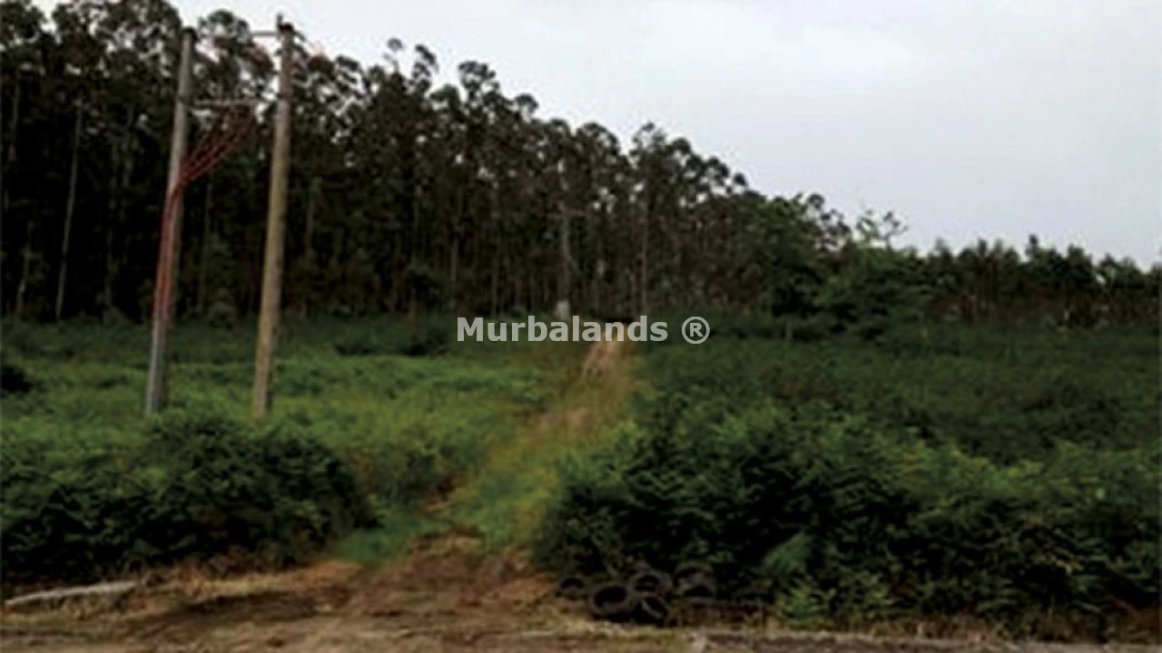 Foto de un terreno o una obra parada para mostrar en el detalle del inmueble