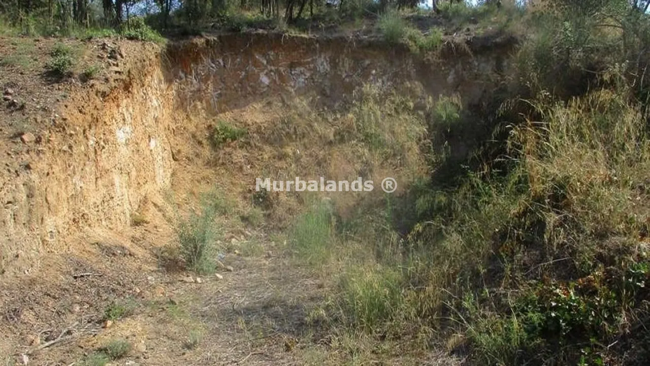 Terreno destacado