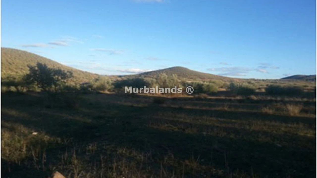 Foto de un terreno o una obra parada para mostrar en el detalle del inmueble