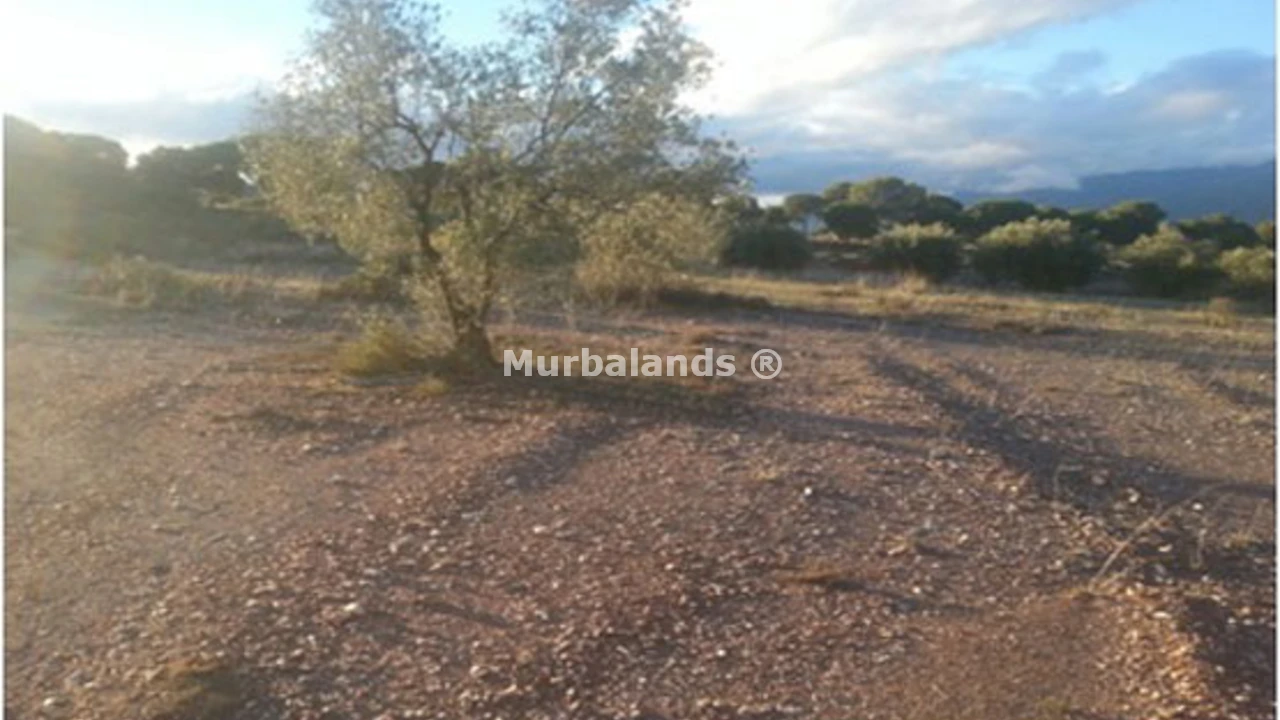 Foto de un terreno o una obra parada para mostrar en el detalle del inmueble