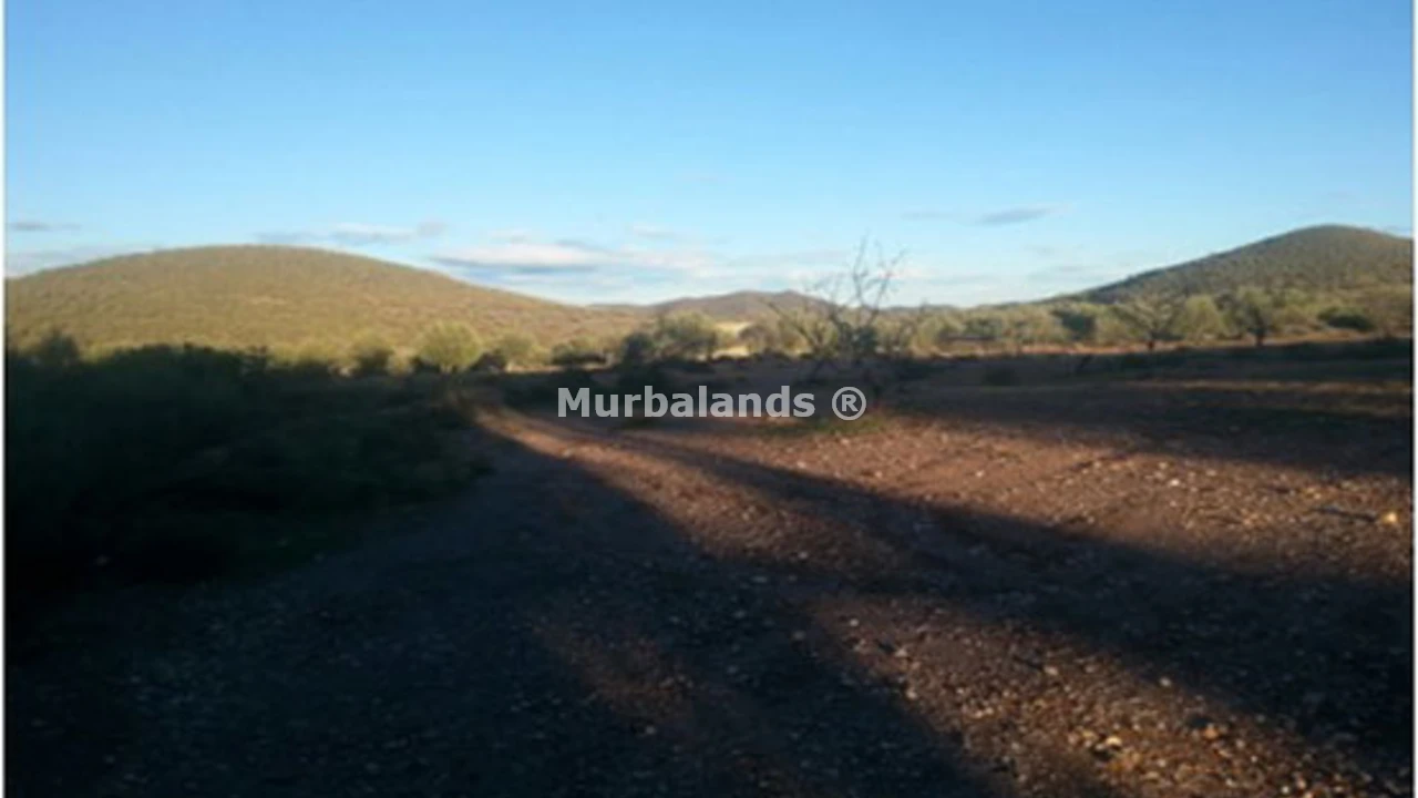 Foto de un terreno o una obra parada para mostrar en el detalle del inmueble