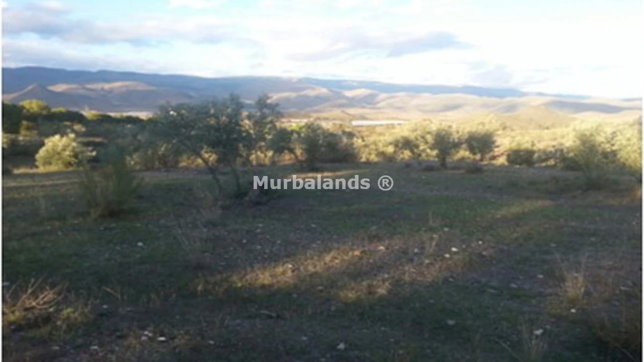 Foto de un terreno o una obra parada para mostrar en el detalle del inmueble