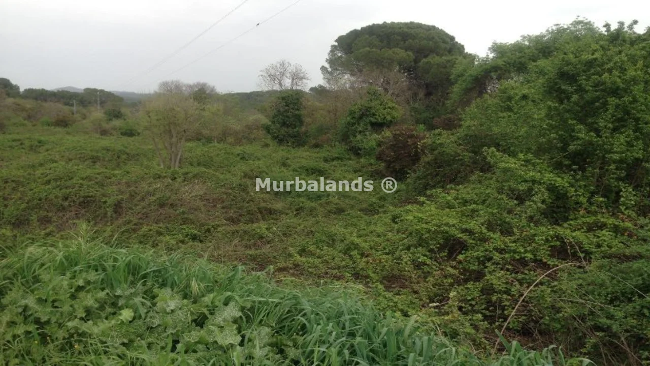 Foto de un terreno o una obra parada para mostrar en el detalle del inmueble