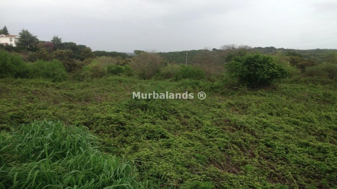 Foto de un terreno o una obra parada para mostrar en el detalle del inmueble