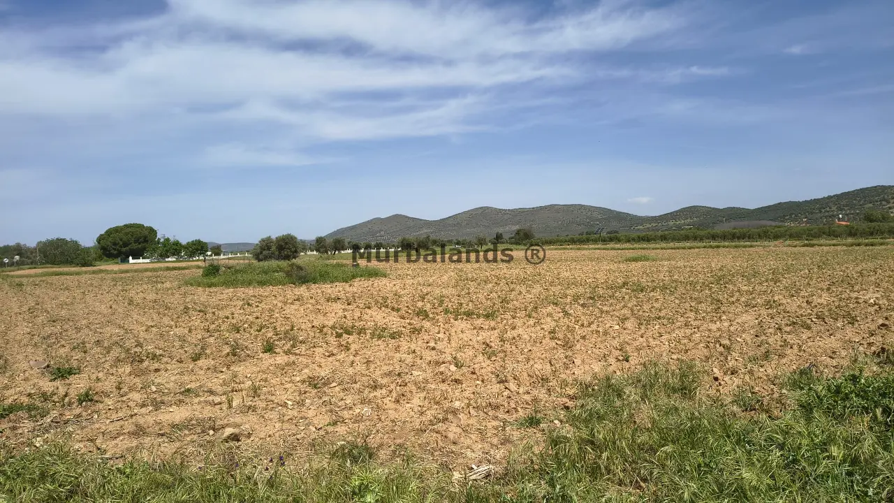 Foto del anuncio Ref. 00005340