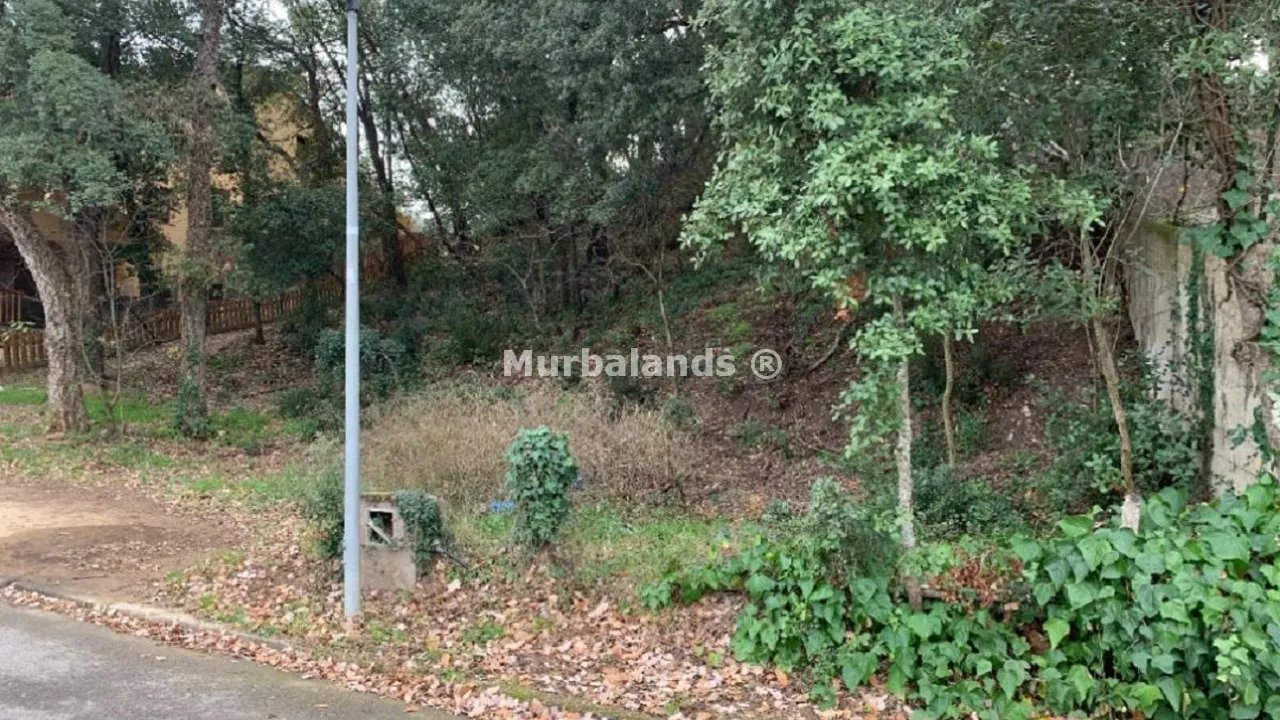 Terreno destacado