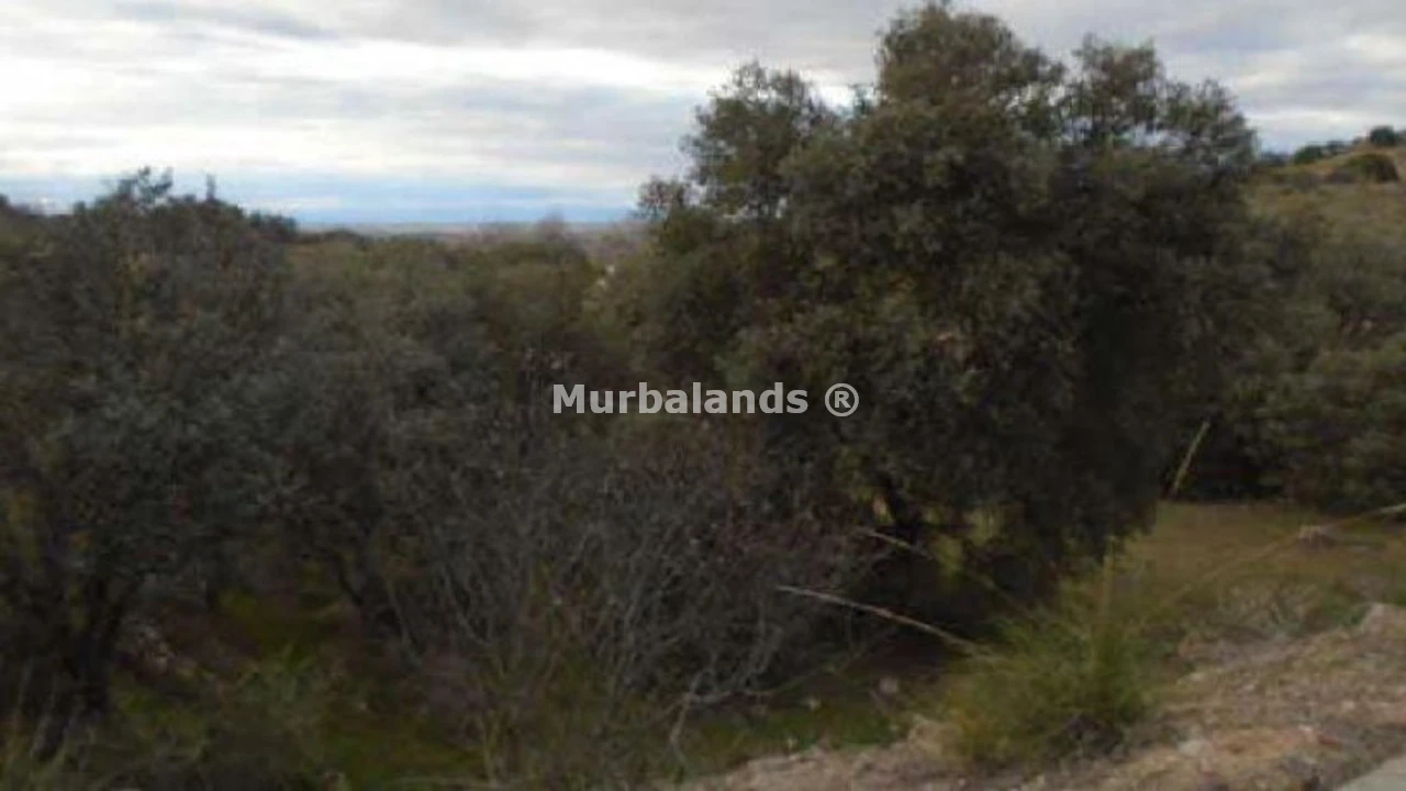 Foto de un terreno o una obra parada para mostrar en el detalle del inmueble