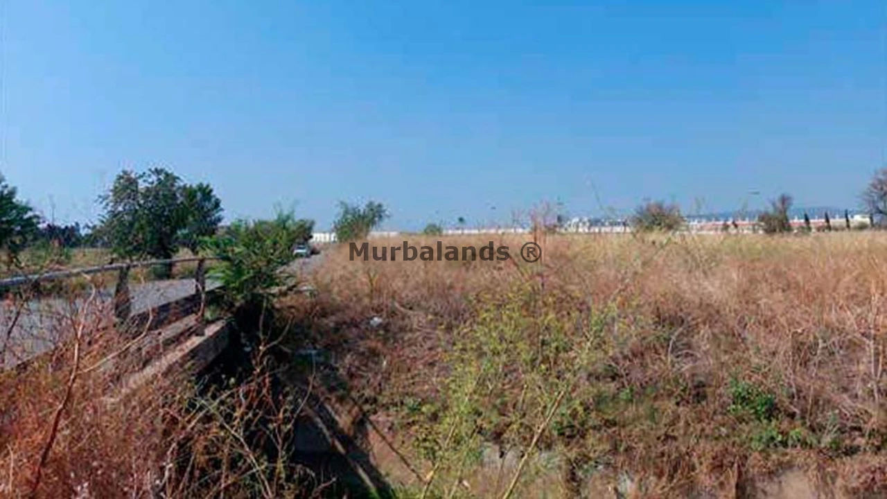 Terreno destacado