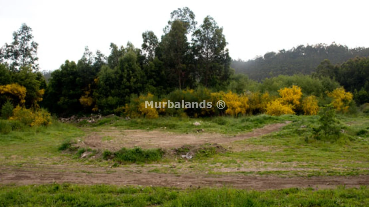 Foto de un terreno o una obra parada para mostrar en el detalle del inmueble