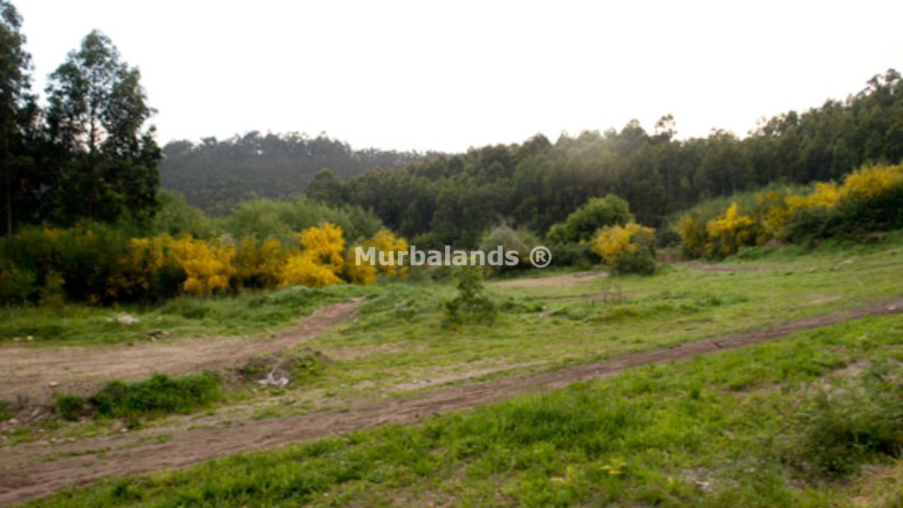 Foto de un terreno o una obra parada para mostrar en el detalle del inmueble