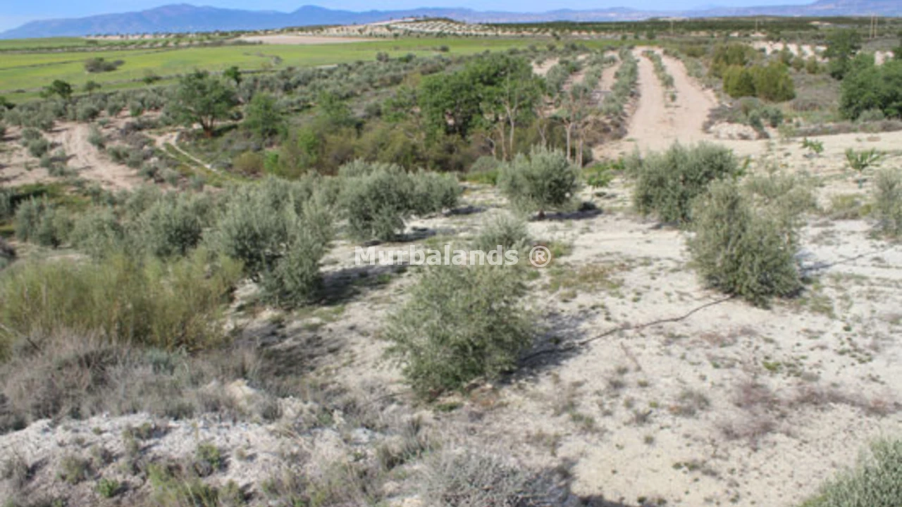 Foto de un terreno o una obra parada para mostrar en el detalle del inmueble