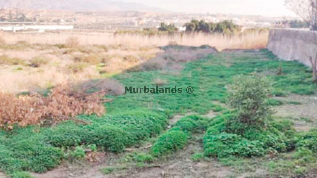 Foto de un terreno o una obra parada para mostrar en el detalle del inmueble