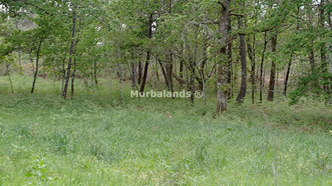 Foto de un terreno o una obra parada para mostrar en el detalle del inmueble