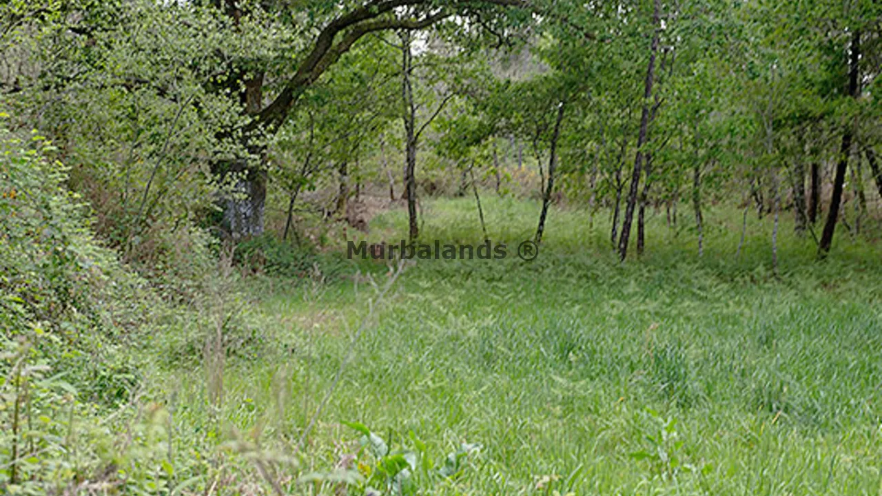 Foto de un terreno o una obra parada para mostrar en el detalle del inmueble
