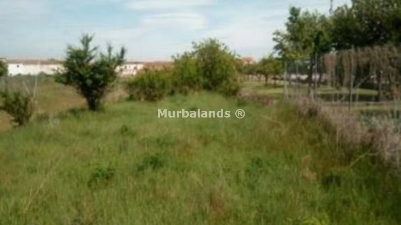 Foto de un terreno o una obra parada para mostrar en el detalle del inmueble