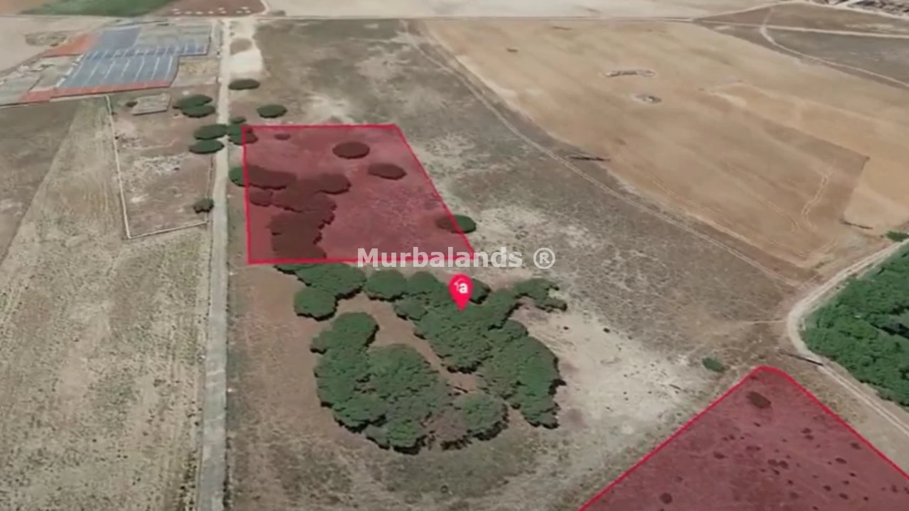 Foto de un terreno o una obra parada para mostrar en el detalle del inmueble