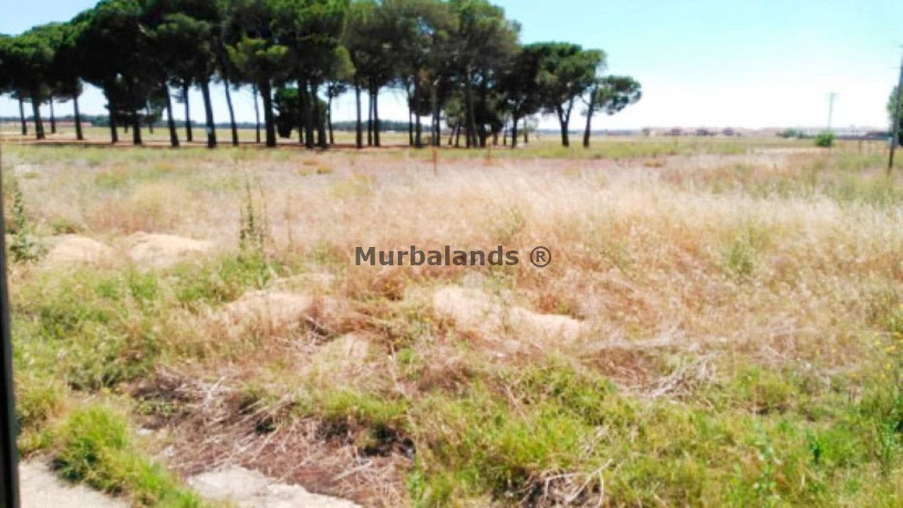 Foto de un terreno o una obra parada para mostrar en el detalle del inmueble