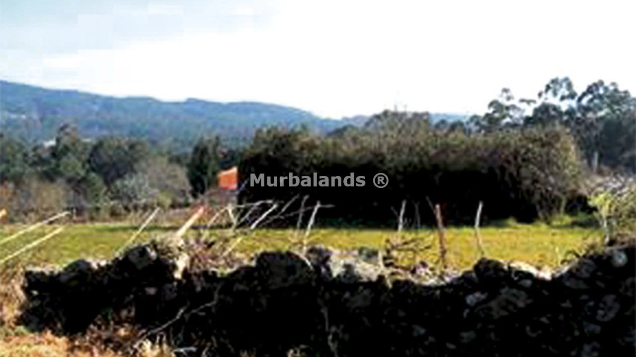 Foto de un terreno o una obra parada para mostrar en el detalle del inmueble