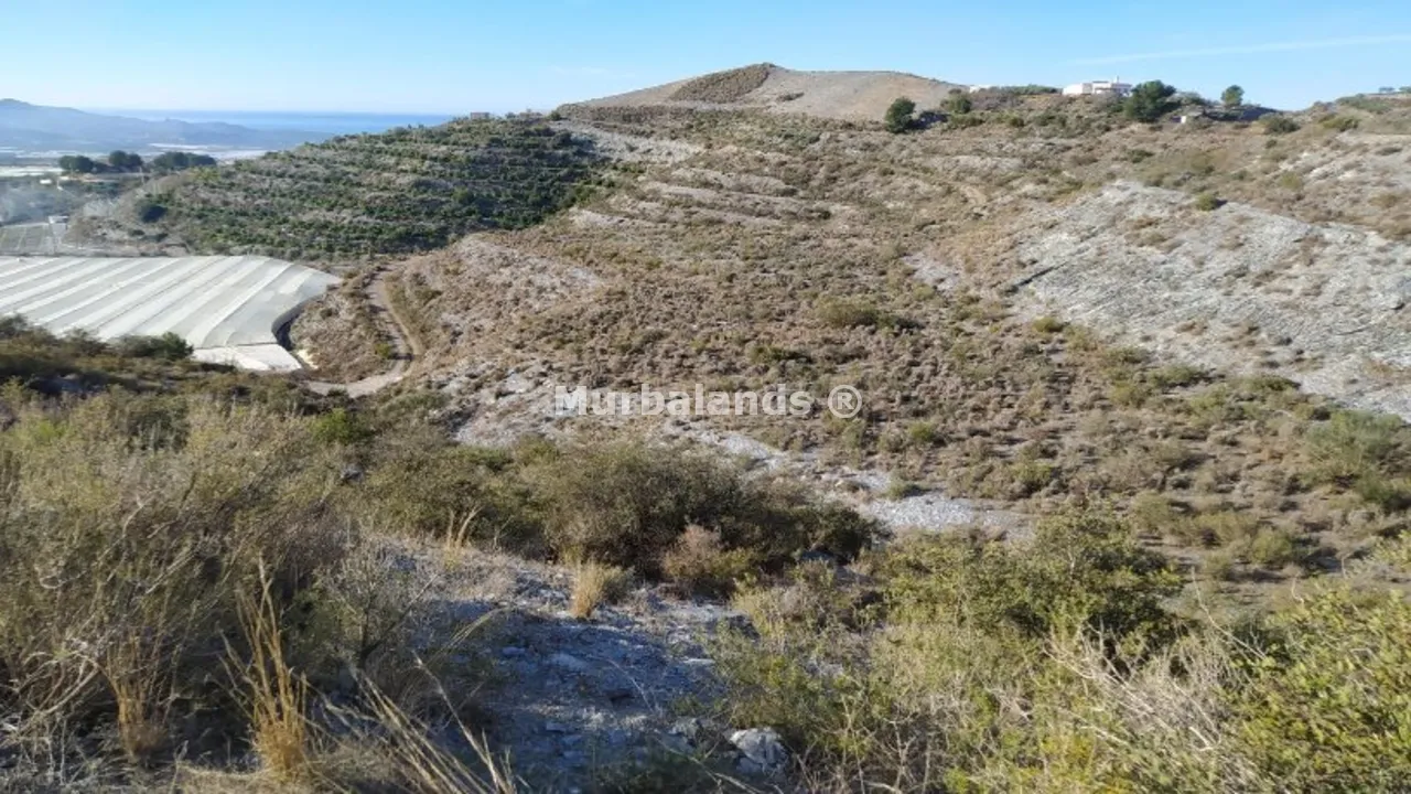 Terreno destacado