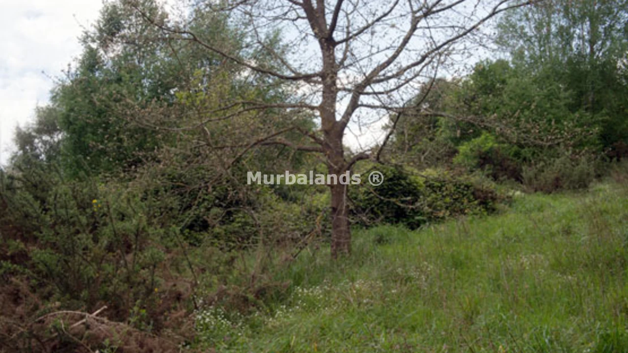 Foto de un terreno o una obra parada para mostrar en el detalle del inmueble