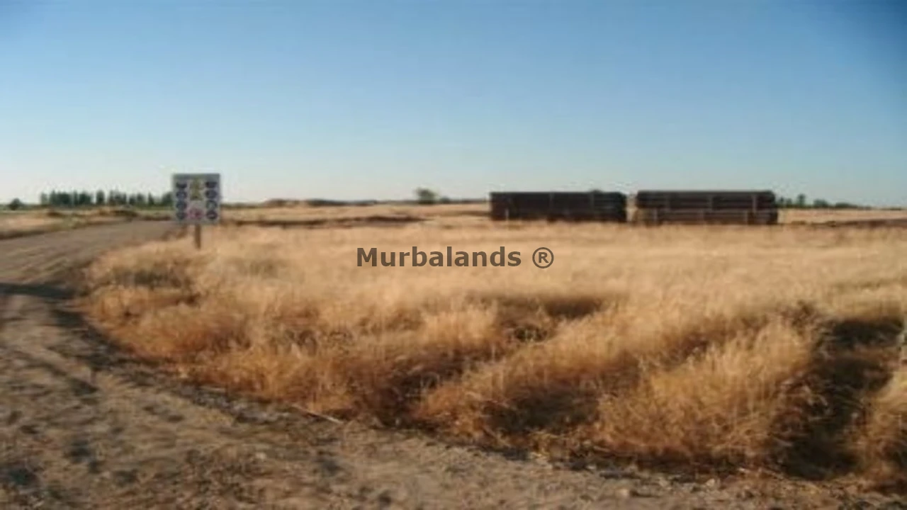 Foto de un terreno o una obra parada para mostrar en el detalle del inmueble