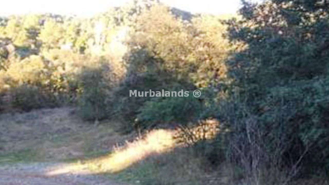 Foto de un terreno o una obra parada para mostrar en el detalle del inmueble
