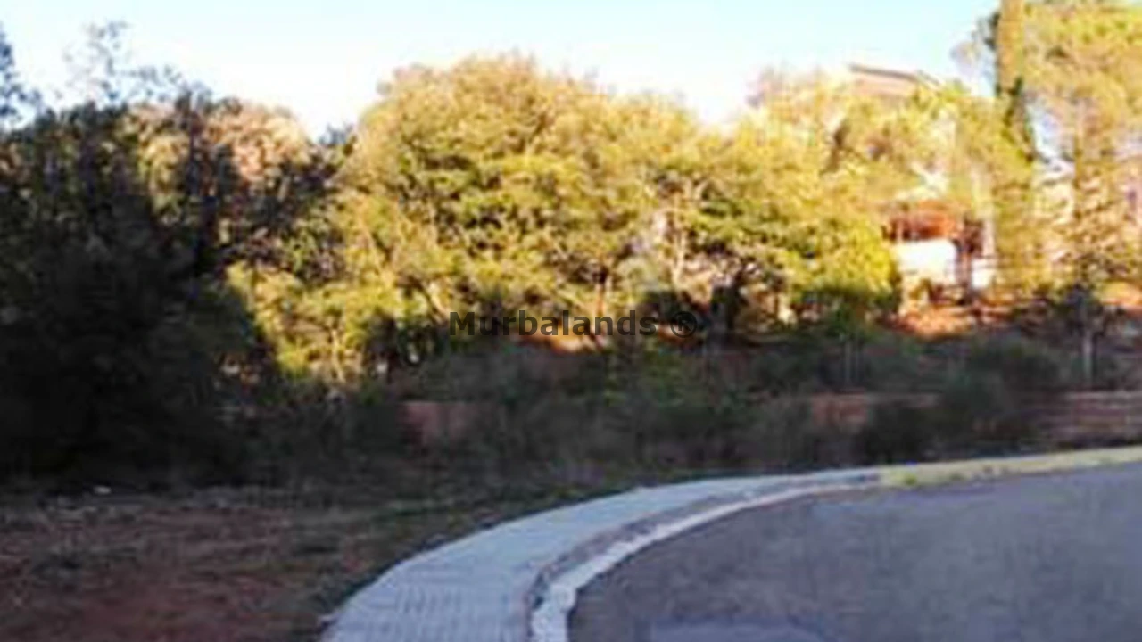 Foto de un terreno o una obra parada para mostrar en el detalle del inmueble