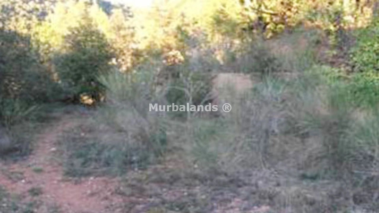 Foto de un terreno o una obra parada para mostrar en el detalle del inmueble