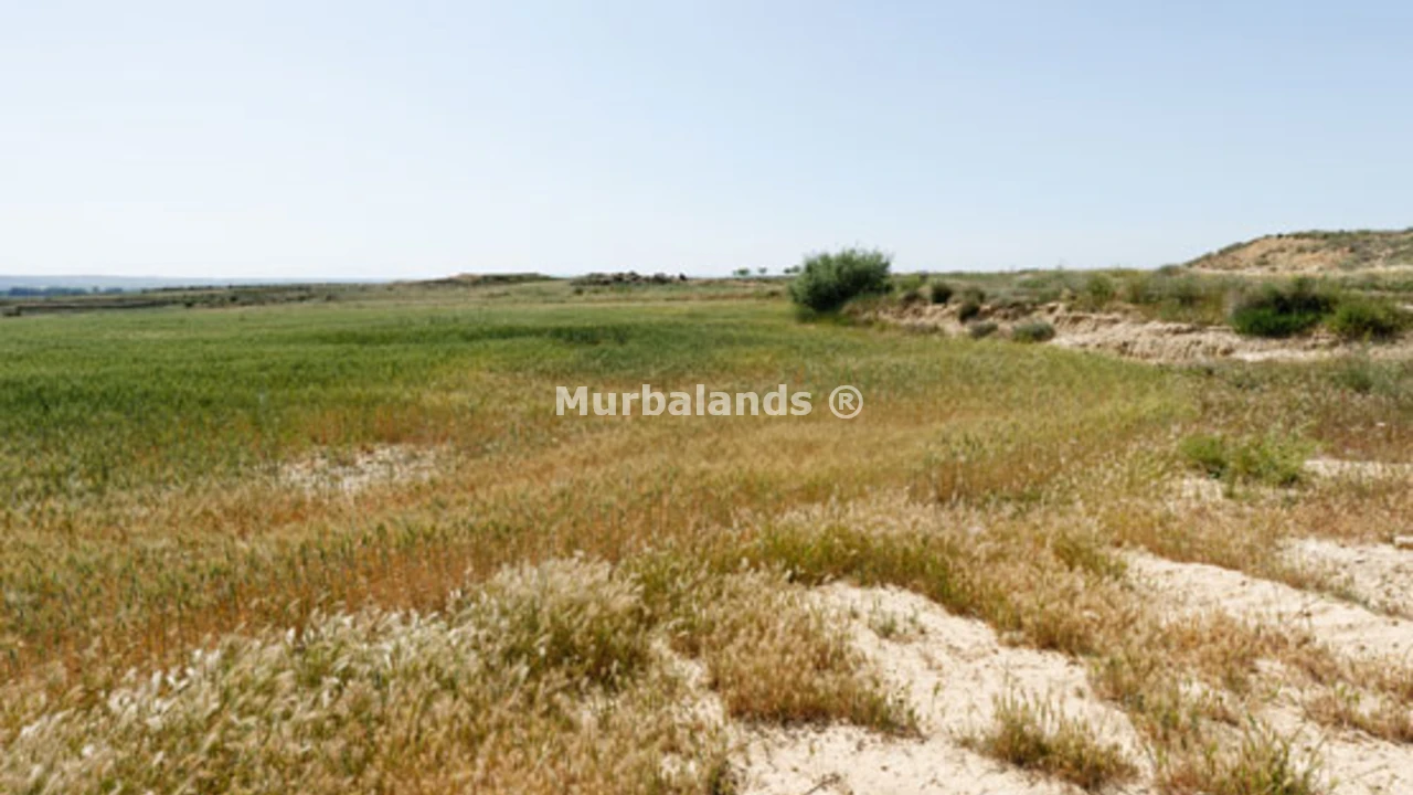 Foto de un terreno o una obra parada para mostrar en el detalle del inmueble