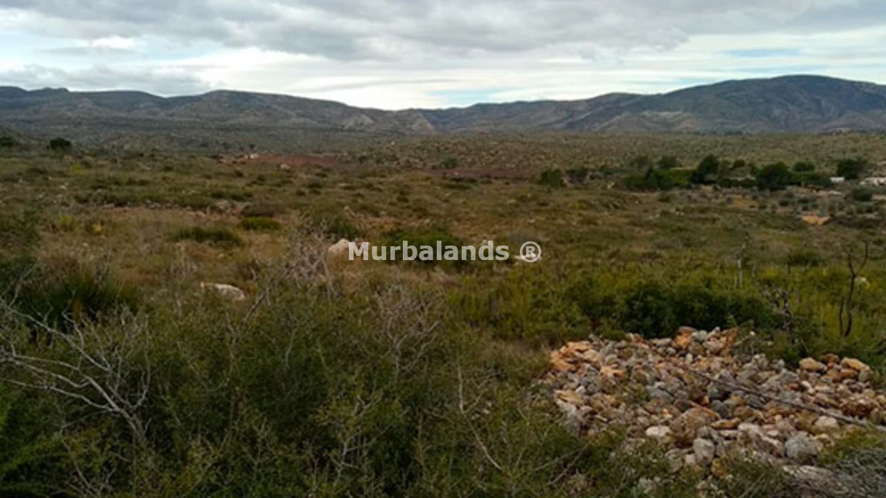 Foto de un terreno o una obra parada para mostrar en el detalle del inmueble