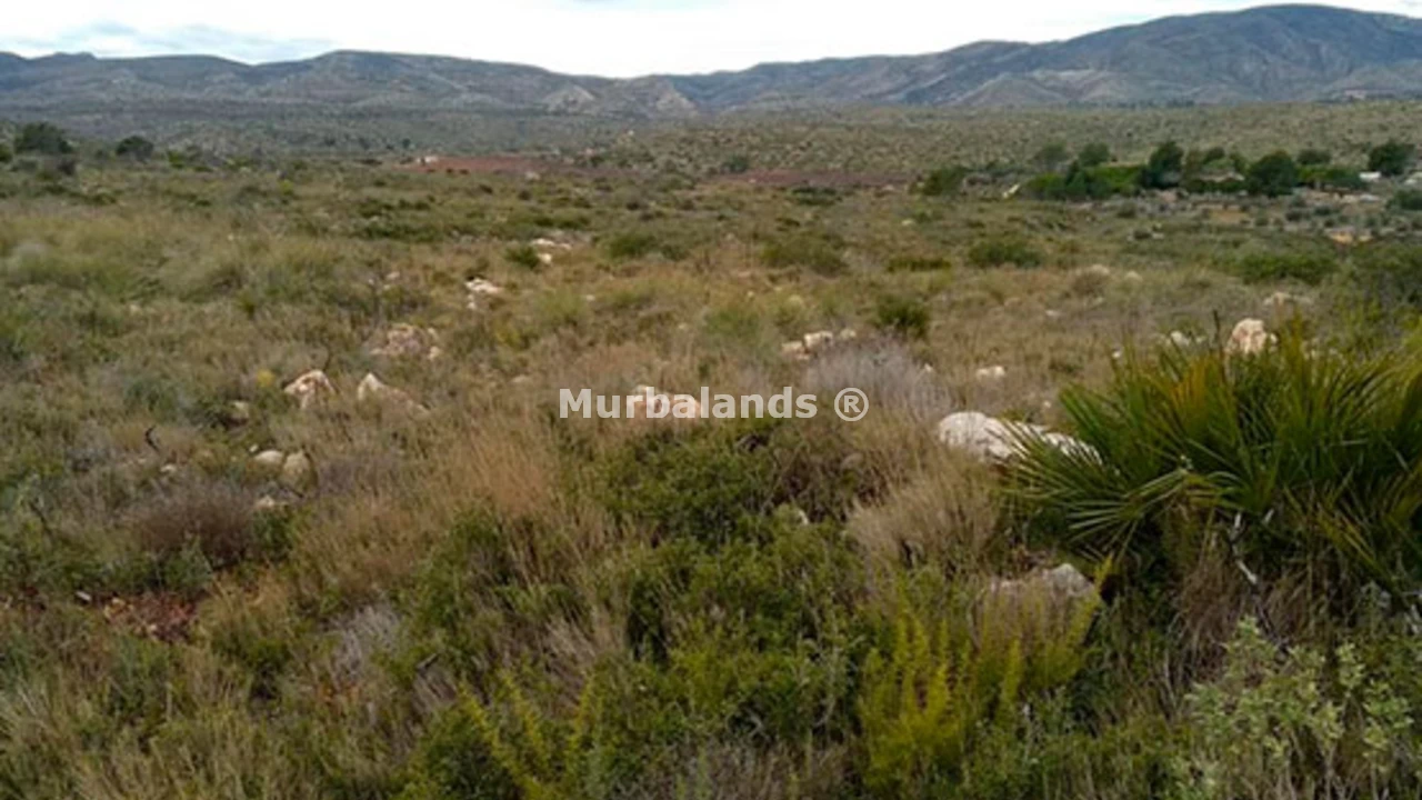 Foto de un terreno o una obra parada para mostrar en el detalle del inmueble
