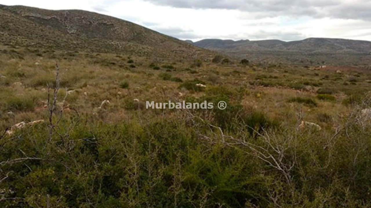 Foto de un terreno o una obra parada para mostrar en el detalle del inmueble