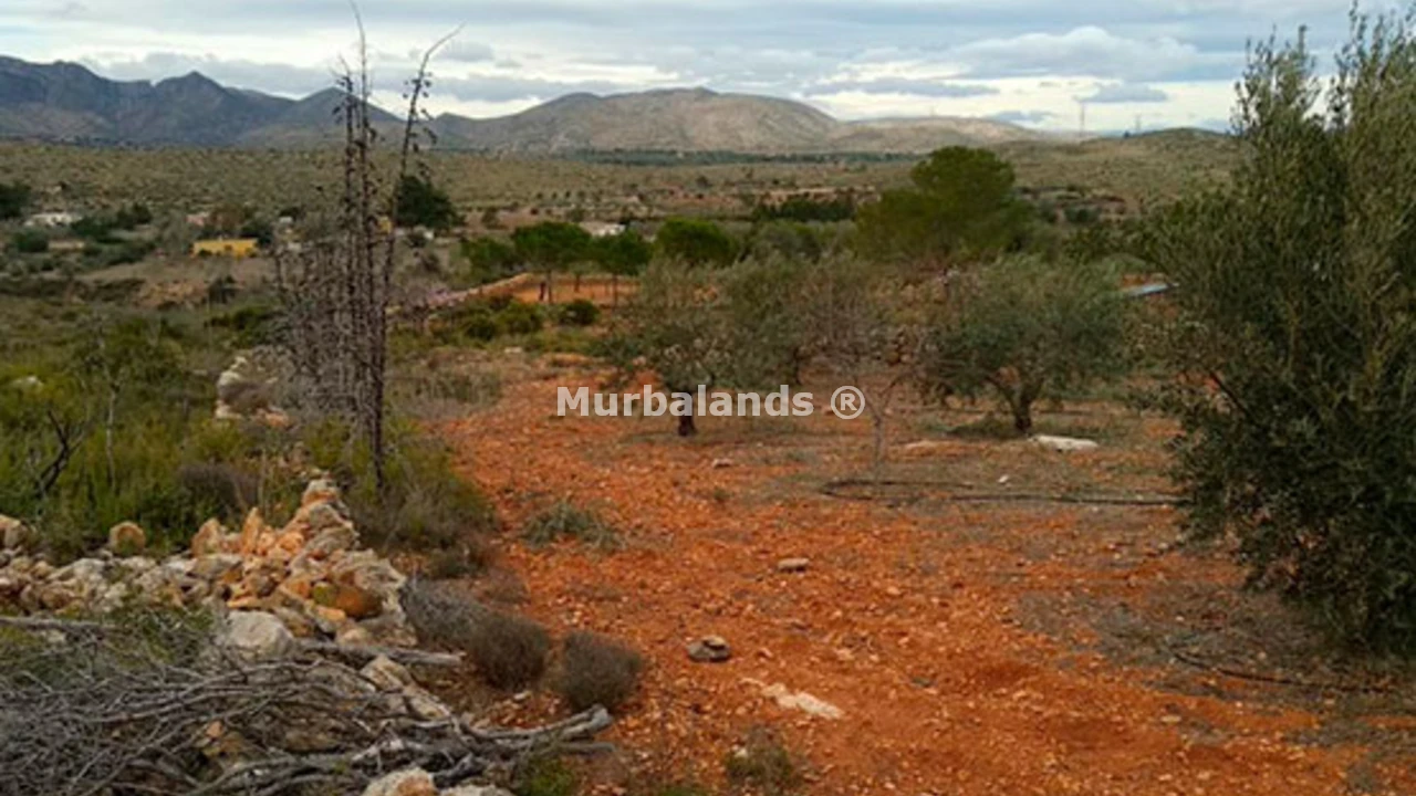 Foto de un terreno o una obra parada para mostrar en el detalle del inmueble
