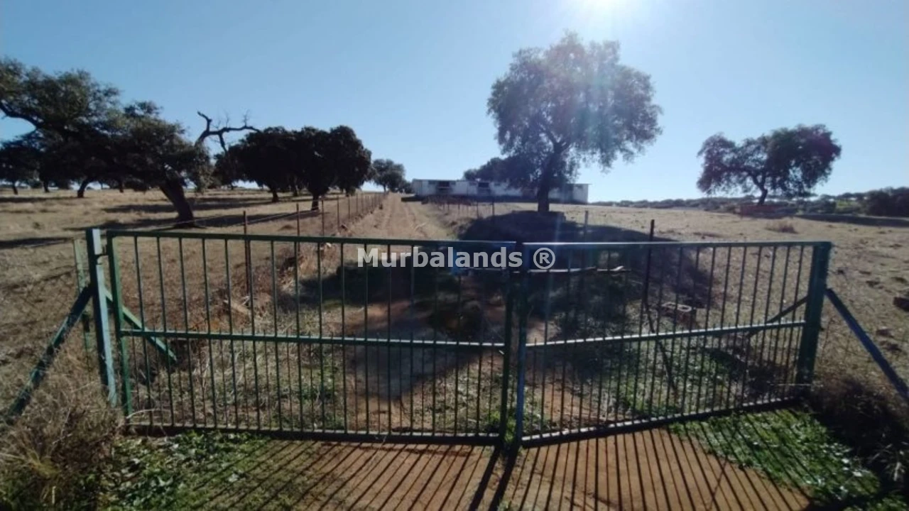 Foto de un terreno o una obra parada para mostrar en el detalle del inmueble