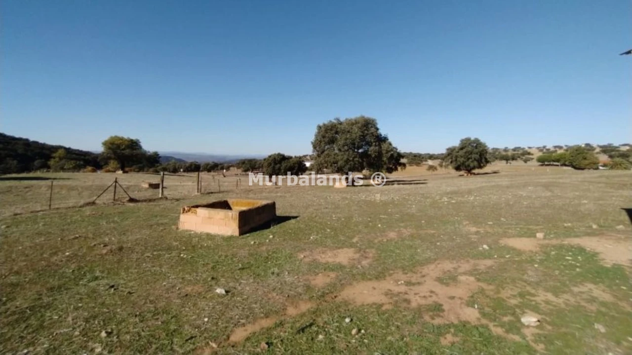 Foto de un terreno o una obra parada para mostrar en el detalle del inmueble