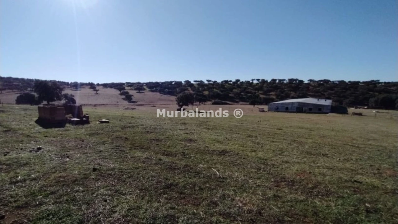 Foto de un terreno o una obra parada para mostrar en el detalle del inmueble