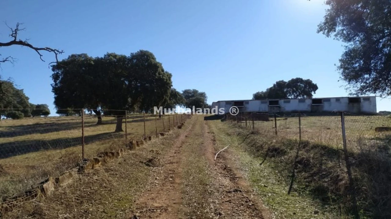 Foto de un terreno o una obra parada para mostrar en el detalle del inmueble