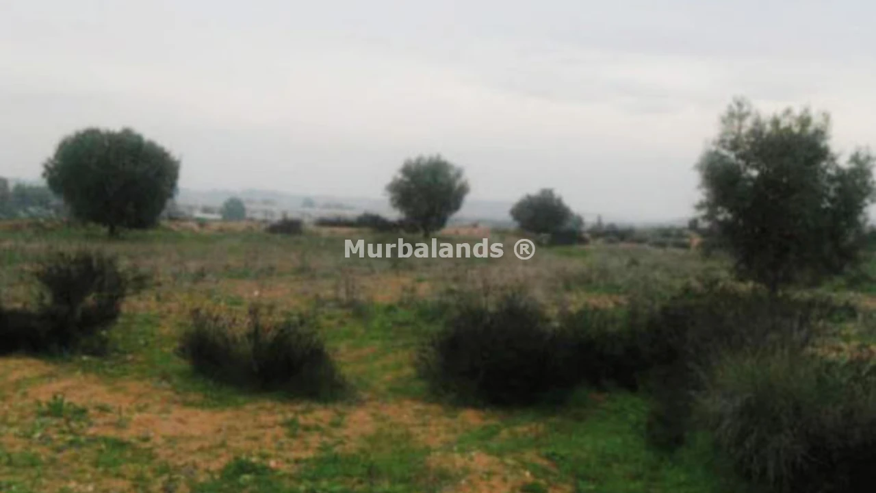 Foto de un terreno o una obra parada para mostrar en el detalle del inmueble