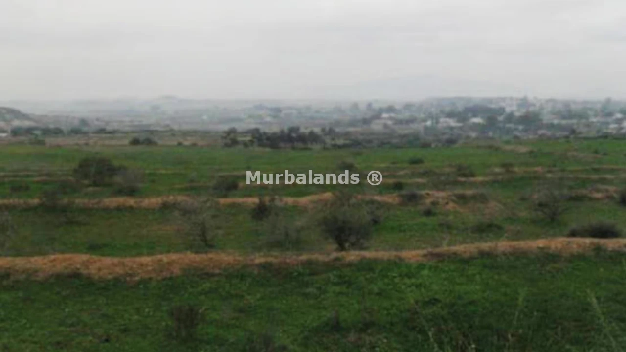 Foto de un terreno o una obra parada para mostrar en el detalle del inmueble