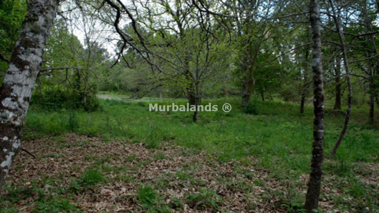 Terreno destacado