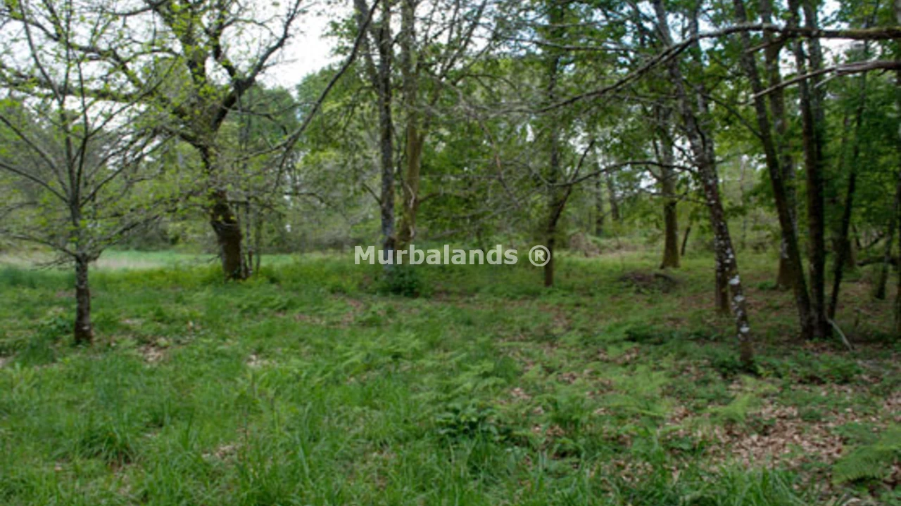 Foto de un terreno o una obra parada para mostrar en el detalle del inmueble