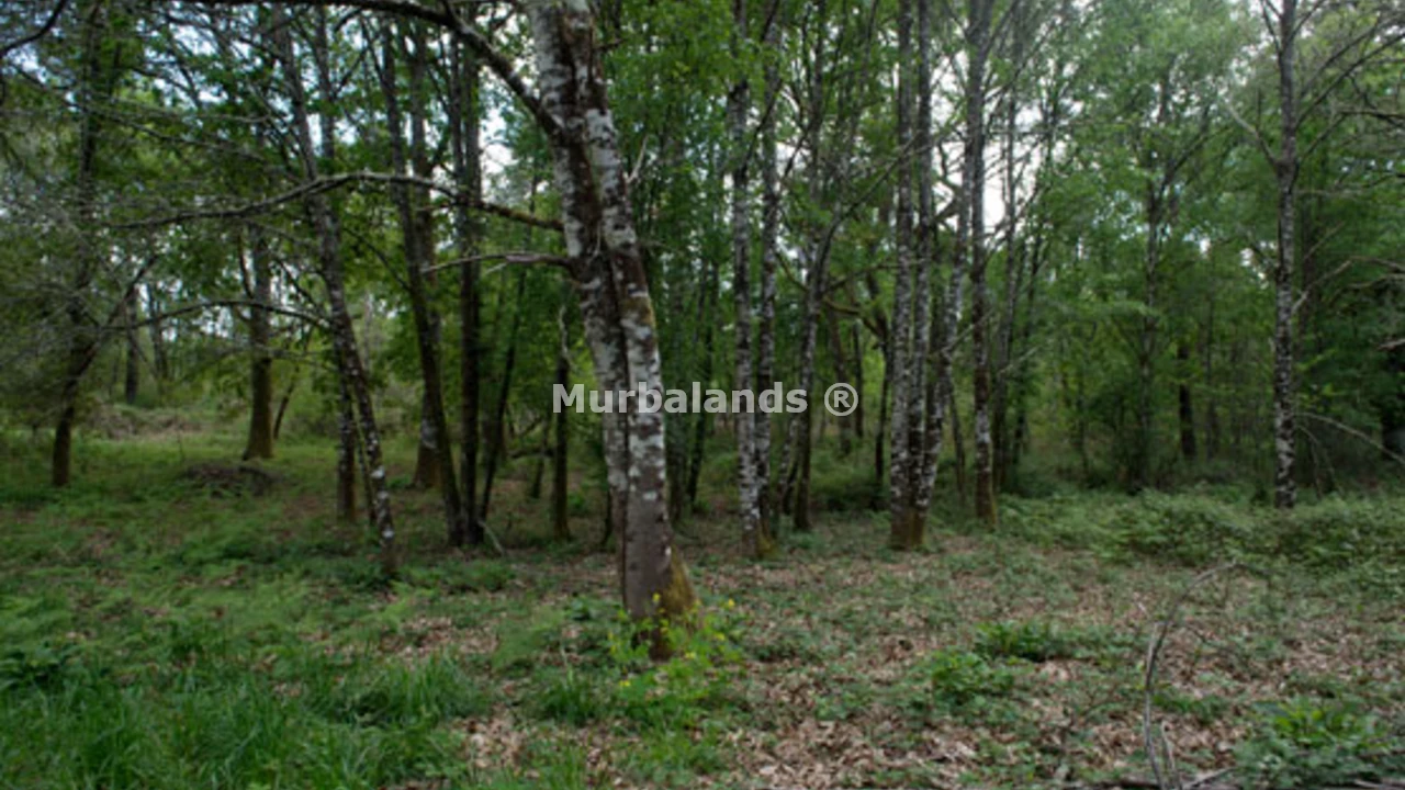 Foto 5 del terreno Ref. 00003947