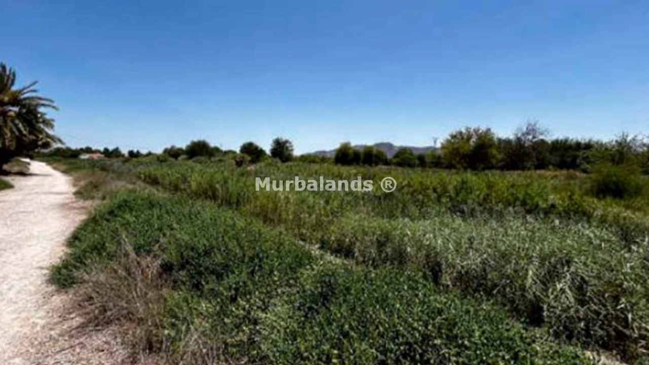 Terreno destacado