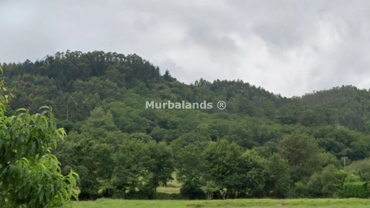 Terreno destacado