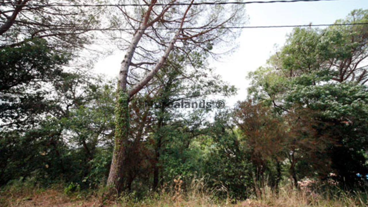 Foto de un terreno o una obra parada para mostrar en el detalle del inmueble