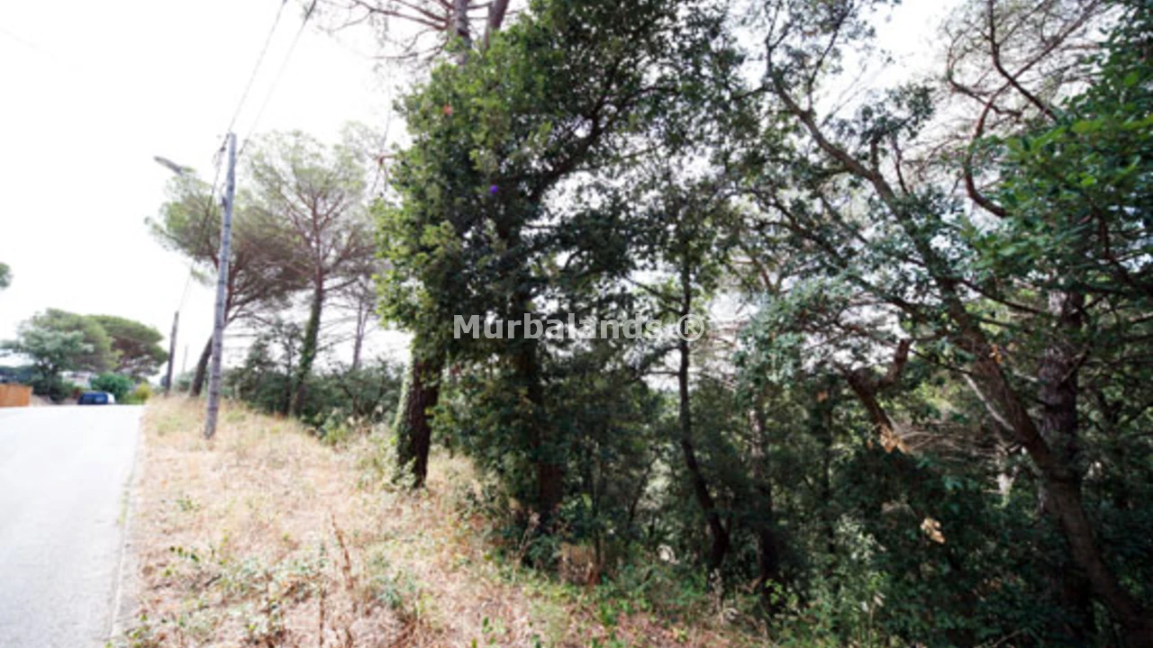 Foto de un terreno o una obra parada para mostrar en el detalle del inmueble