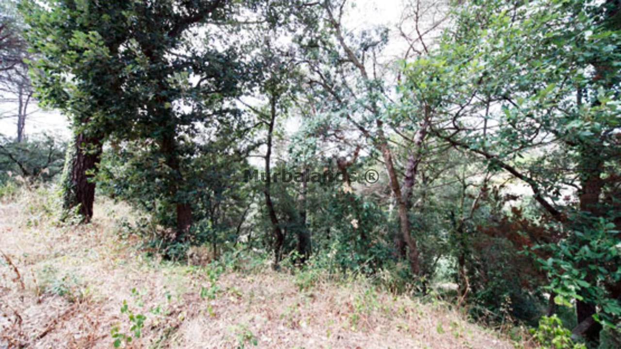 Foto de un terreno o una obra parada para mostrar en el detalle del inmueble