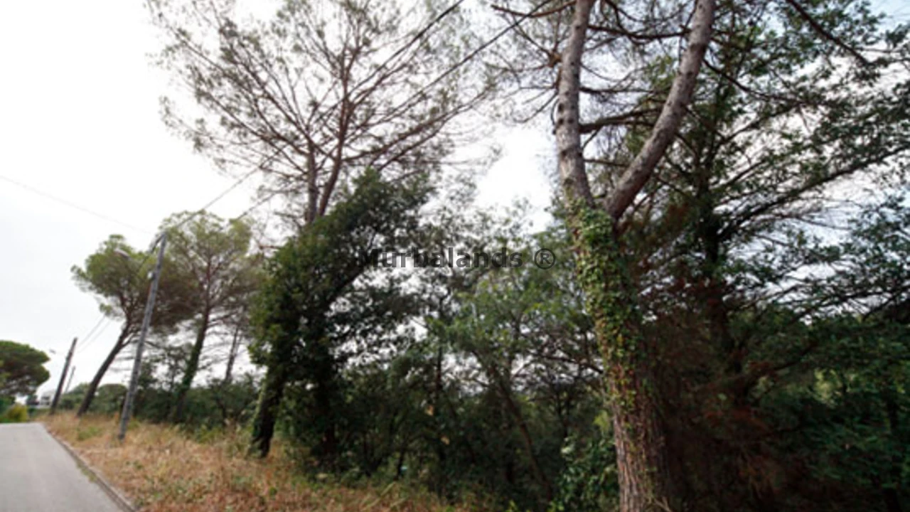 Foto de un terreno o una obra parada para mostrar en el detalle del inmueble