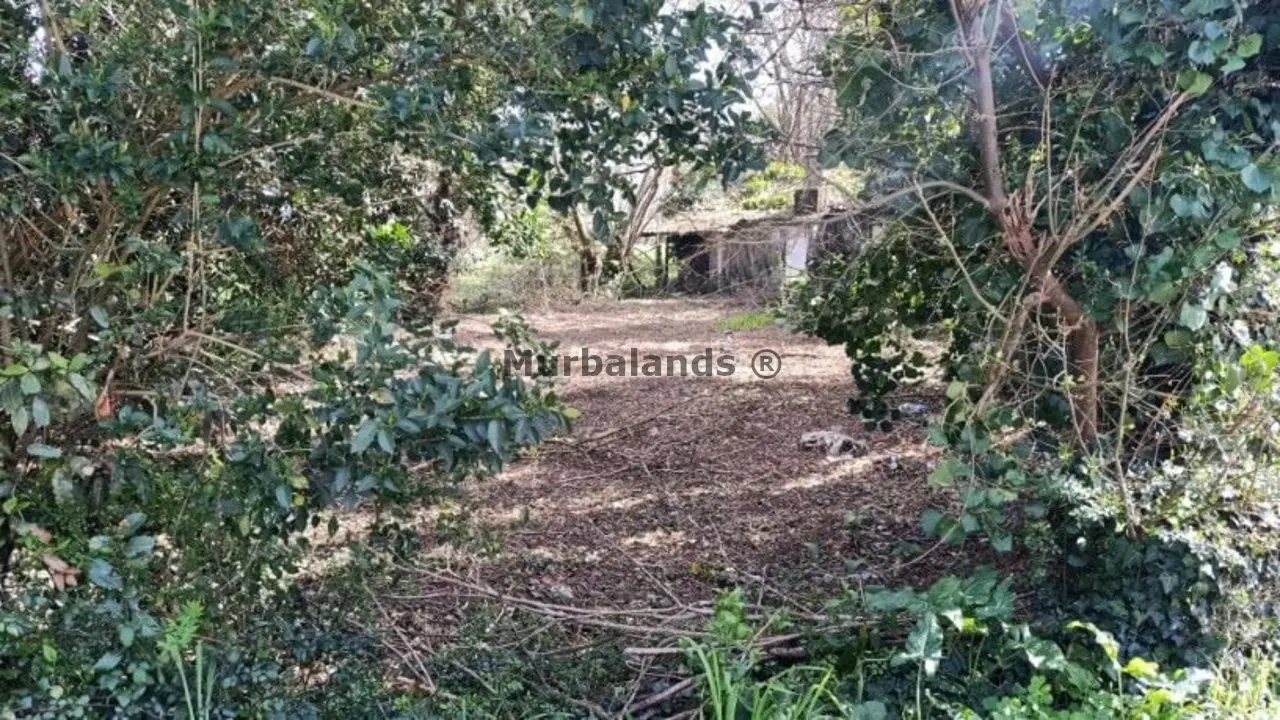 Foto de un terreno o una obra parada para mostrar en el detalle del inmueble