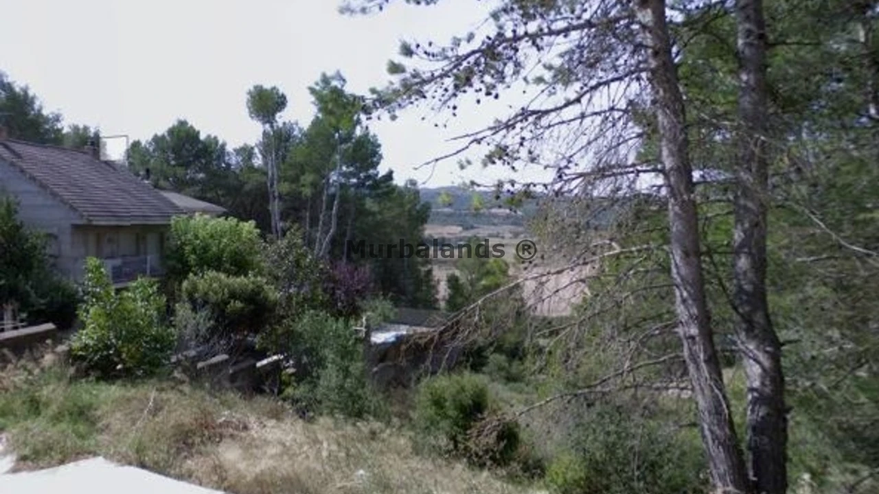 Terreno destacado